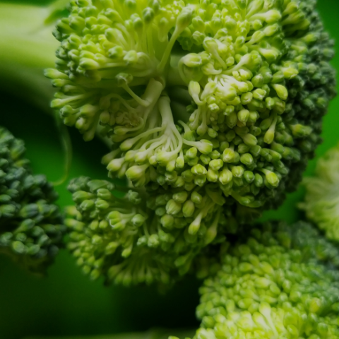 Photo de fruits et légumes crus